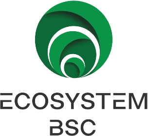 Ecosystem BSC